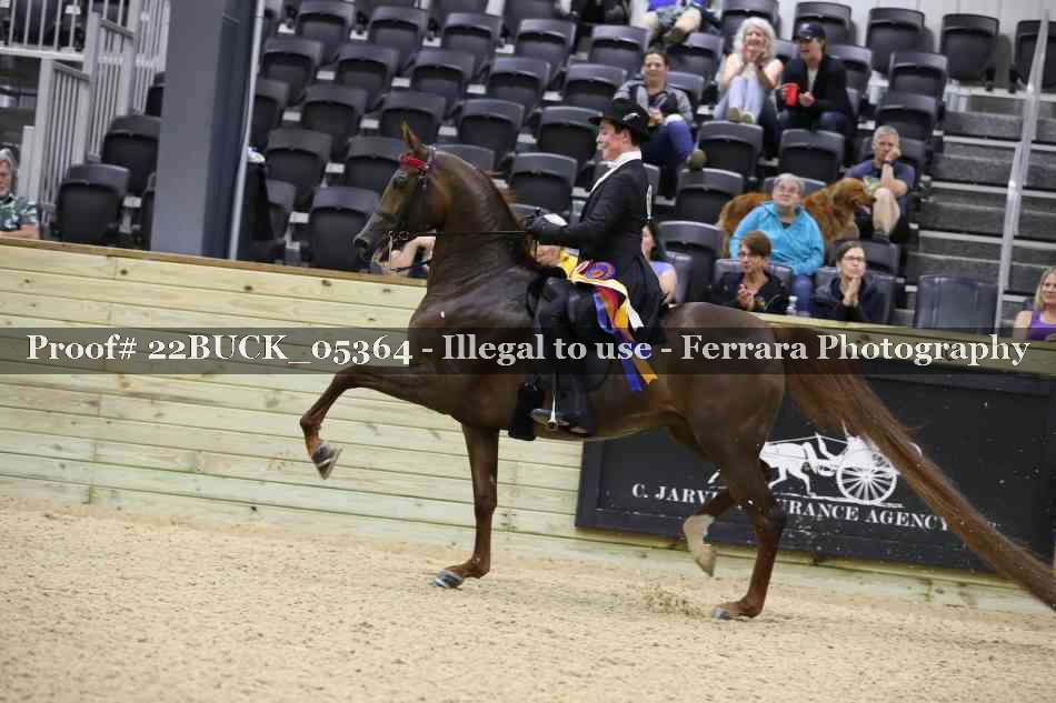 Proof 22BUCK_05364