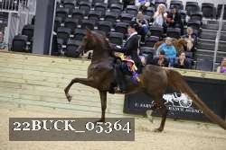 22BUCK_05364 proof