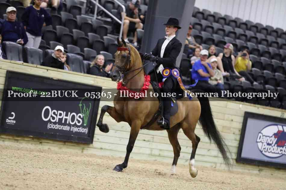 Proof 22BUCK_05365