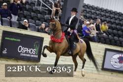 22BUCK_05365 proof