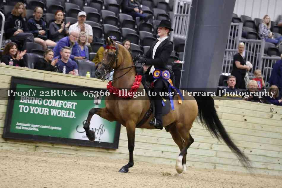 Proof 22BUCK_05366