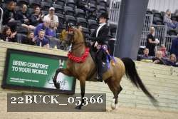22BUCK_05366 proof