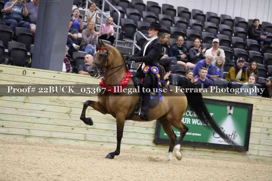 Proof 22BUCK_05367