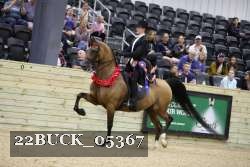 22BUCK_05367 proof