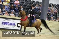 22BUCK_05368 proof