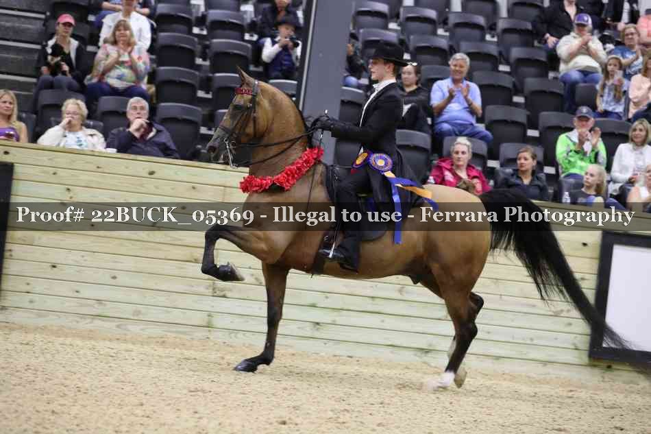 Proof 22BUCK_05369