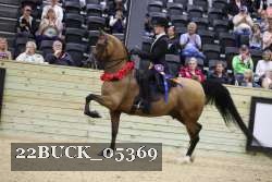 22BUCK_05369 proof