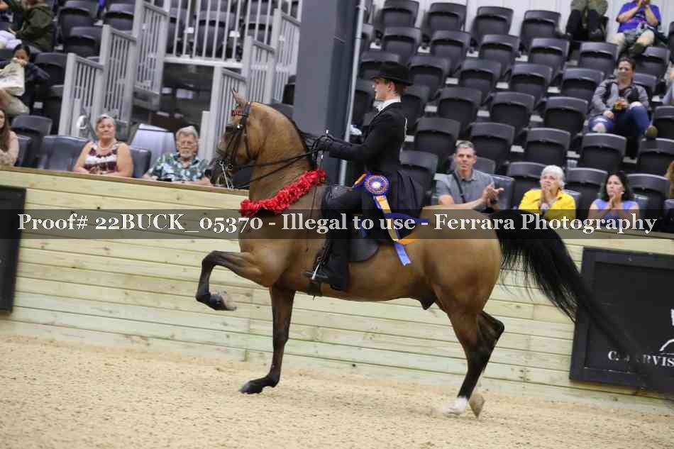 Proof 22BUCK_05370