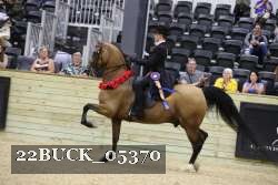 22BUCK_05370 proof