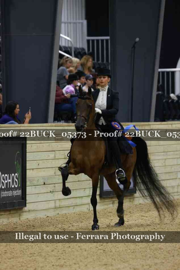 Proof 22BUCK_05373