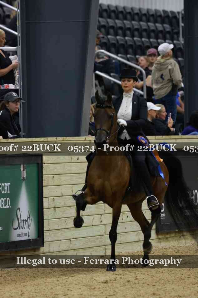 Proof 22BUCK_05374