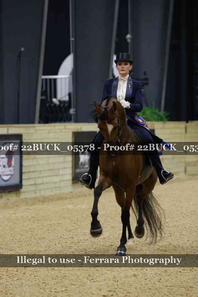 Proof 22BUCK_05378