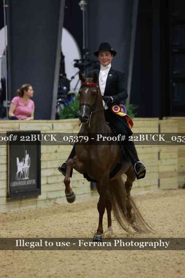 Proof 22BUCK_05379