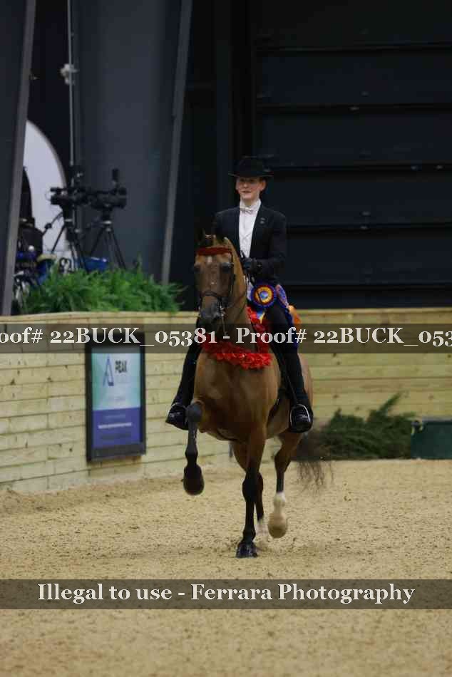 Proof 22BUCK_05381