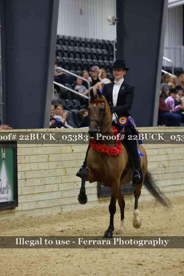 Proof 22BUCK_05383
