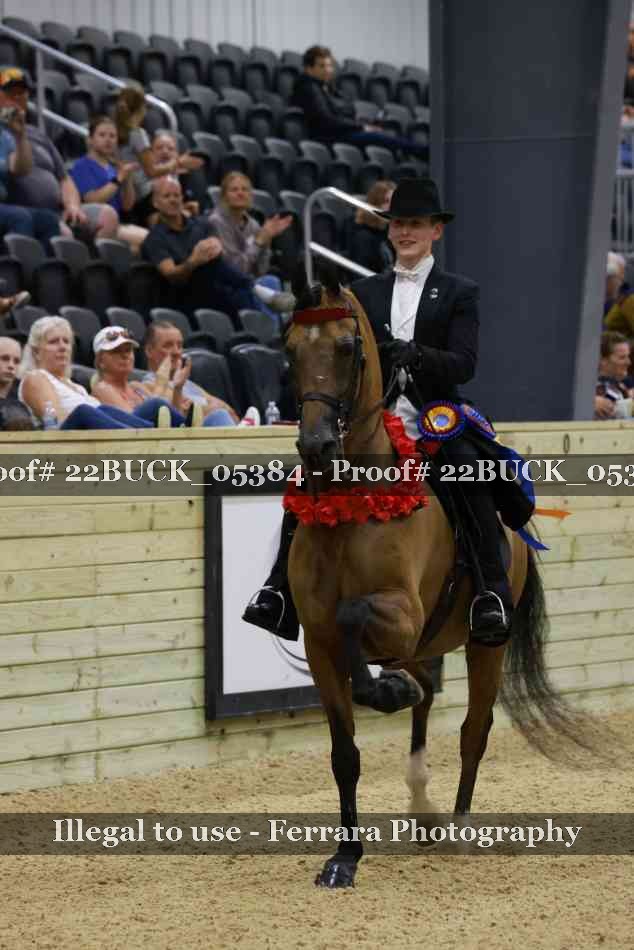 Proof 22BUCK_05384