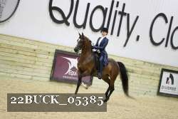 22BUCK_05385 proof