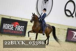 22BUCK_05386 proof