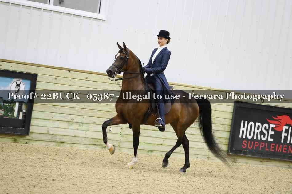 Proof 22BUCK_05387