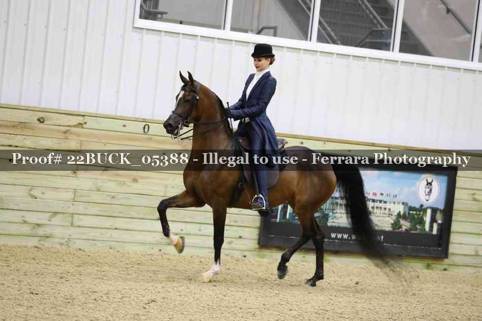 Proof 22BUCK_05388