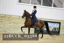 22BUCK_05388 proof