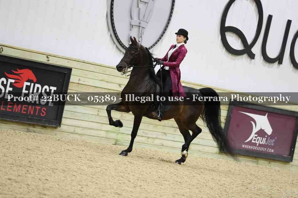 Proof 22BUCK_05389
