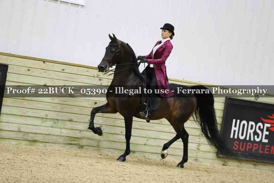 Proof 22BUCK_05390