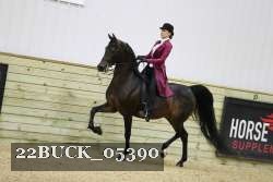 22BUCK_05390 proof