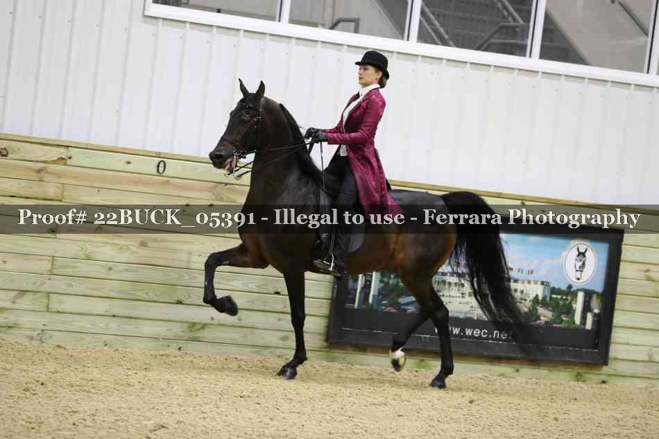Proof 22BUCK_05391