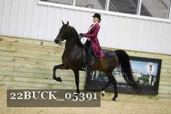22BUCK_05391 proof