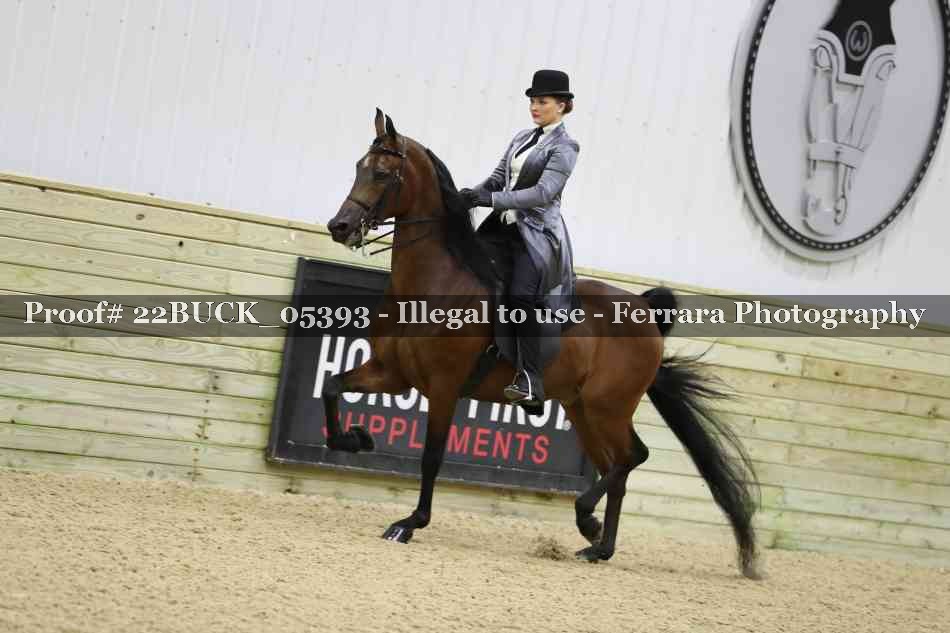 Proof 22BUCK_05393
