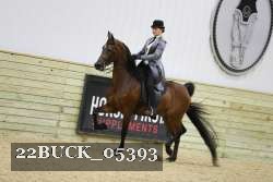 22BUCK_05393 proof