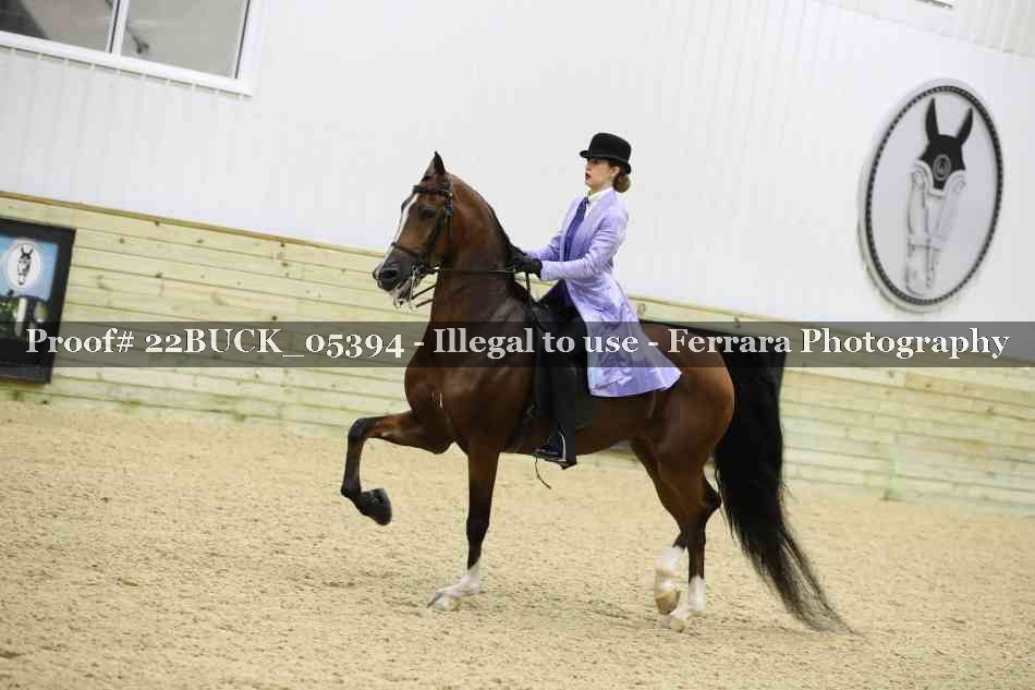 Proof 22BUCK_05394
