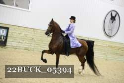 22BUCK_05394 proof