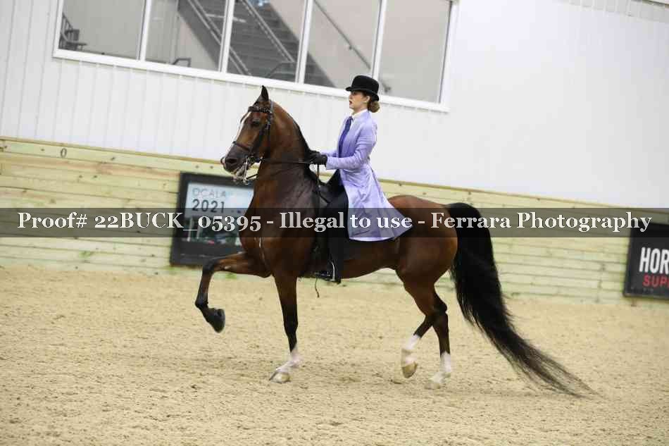 Proof 22BUCK_05395