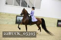22BUCK_05395 proof
