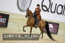 22BUCK_05396 proof