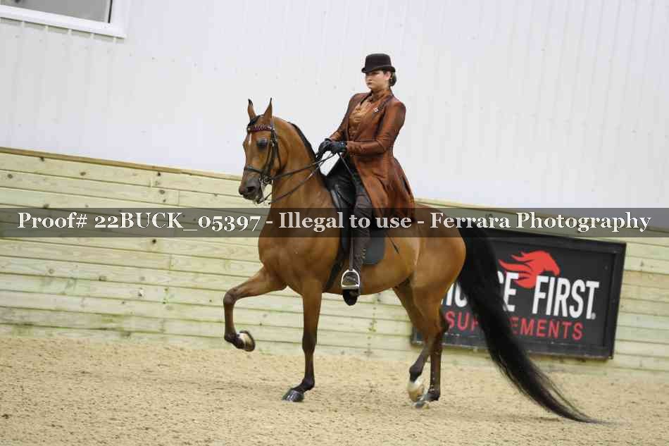 Proof 22BUCK_05397