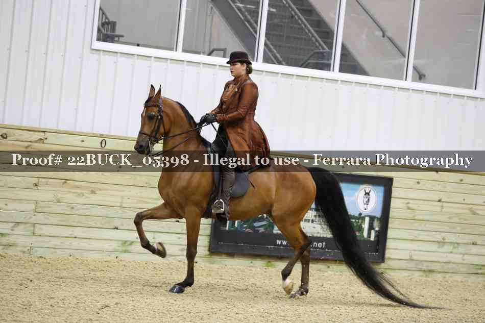 Proof 22BUCK_05398