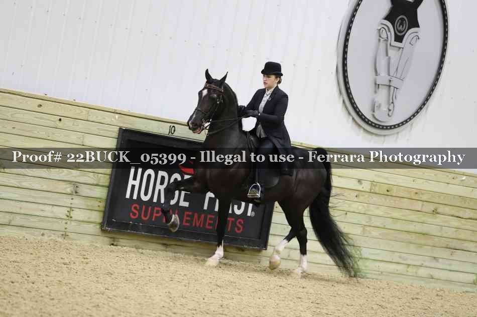 Proof 22BUCK_05399