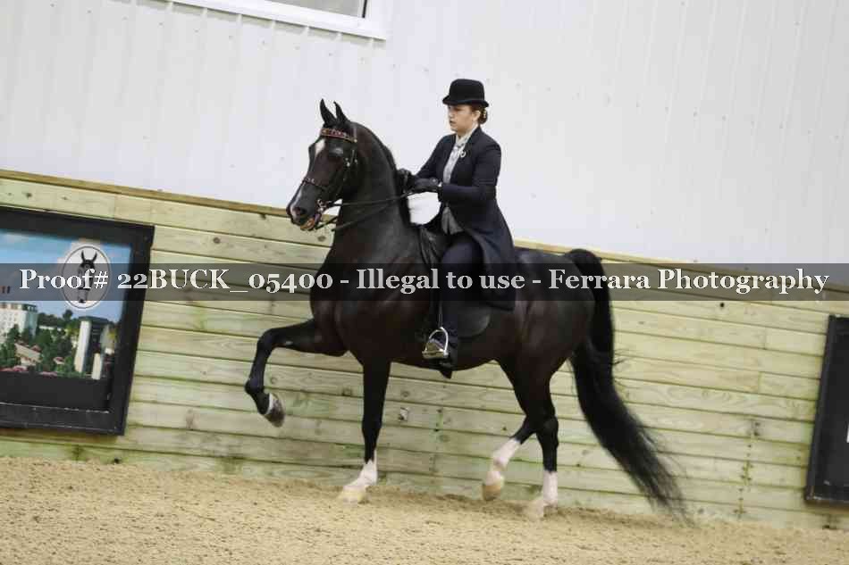 Proof 22BUCK_05400