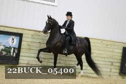 22BUCK_05400 proof