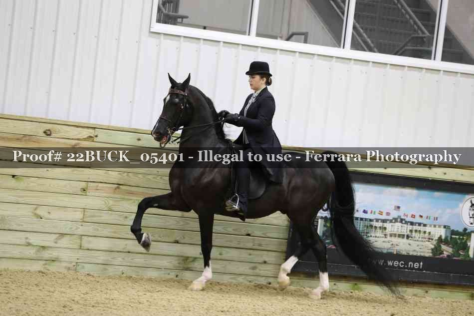 Proof 22BUCK_05401