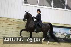 22BUCK_05401 proof