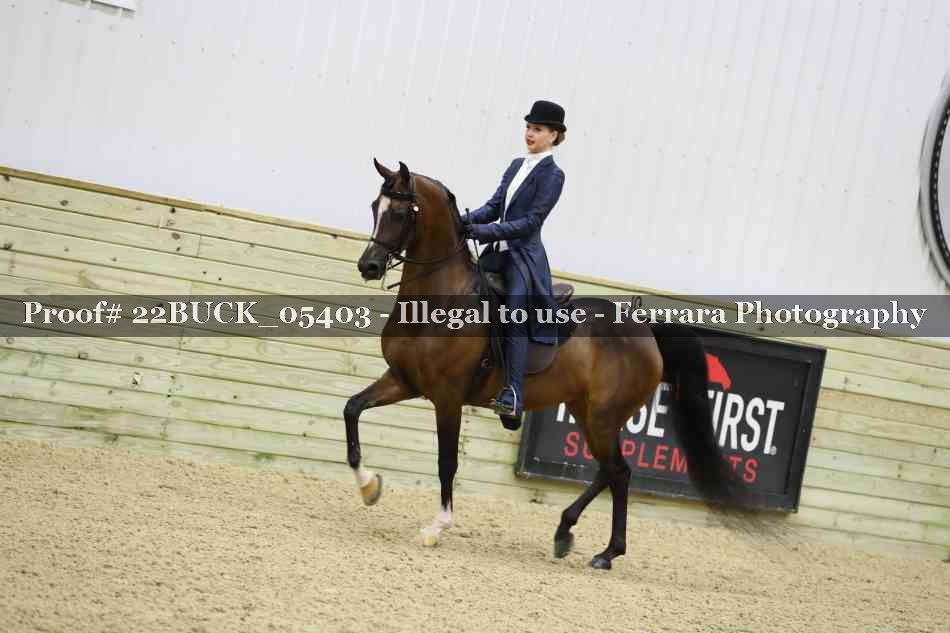 Proof 22BUCK_05403