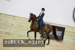 22BUCK_05403 proof