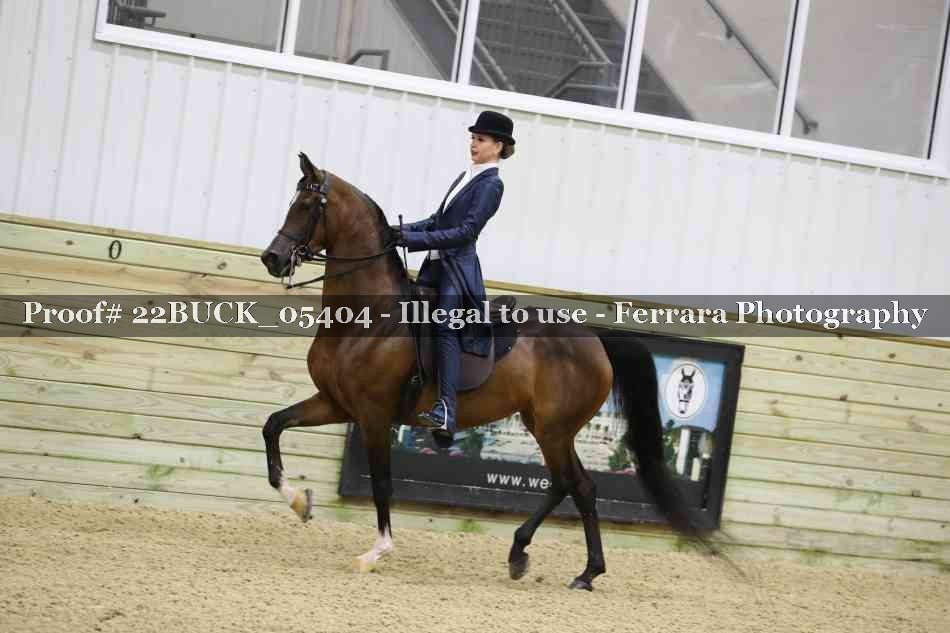 Proof 22BUCK_05404