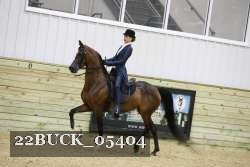 22BUCK_05404 proof