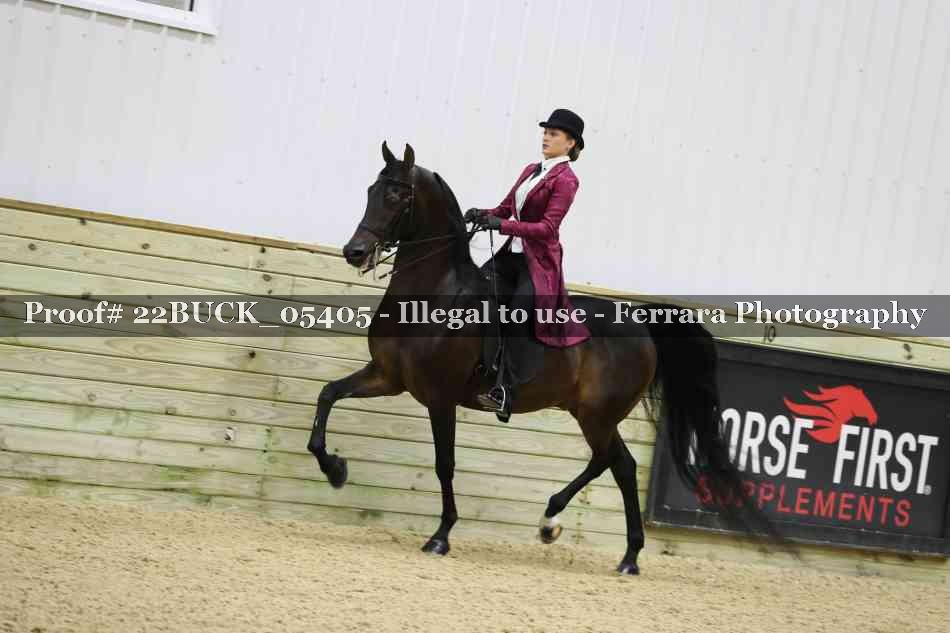 Proof 22BUCK_05405