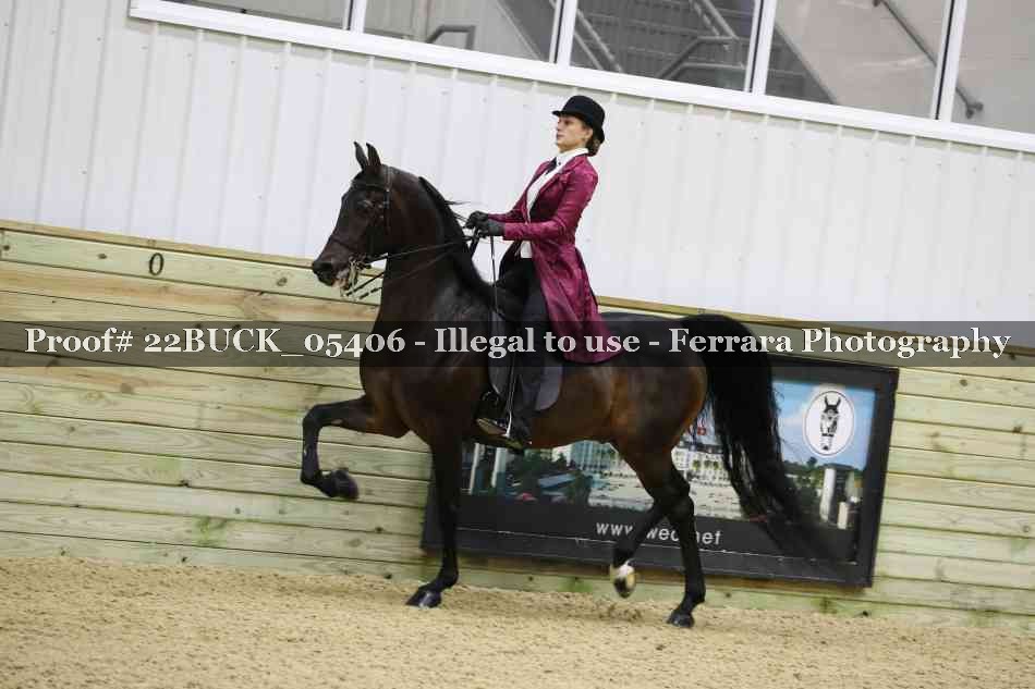 Proof 22BUCK_05406